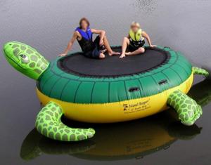 trampoline gonflable de grande tortue enfants n adultes