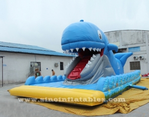 toboggan de baleine gonflable géant avec bouche mobile