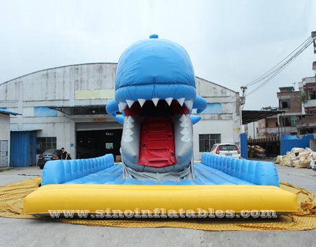 giant inflatable whale slide with mobile mouth