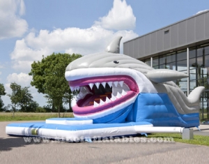 toboggan gonflable de requin géant avec bouche mobile